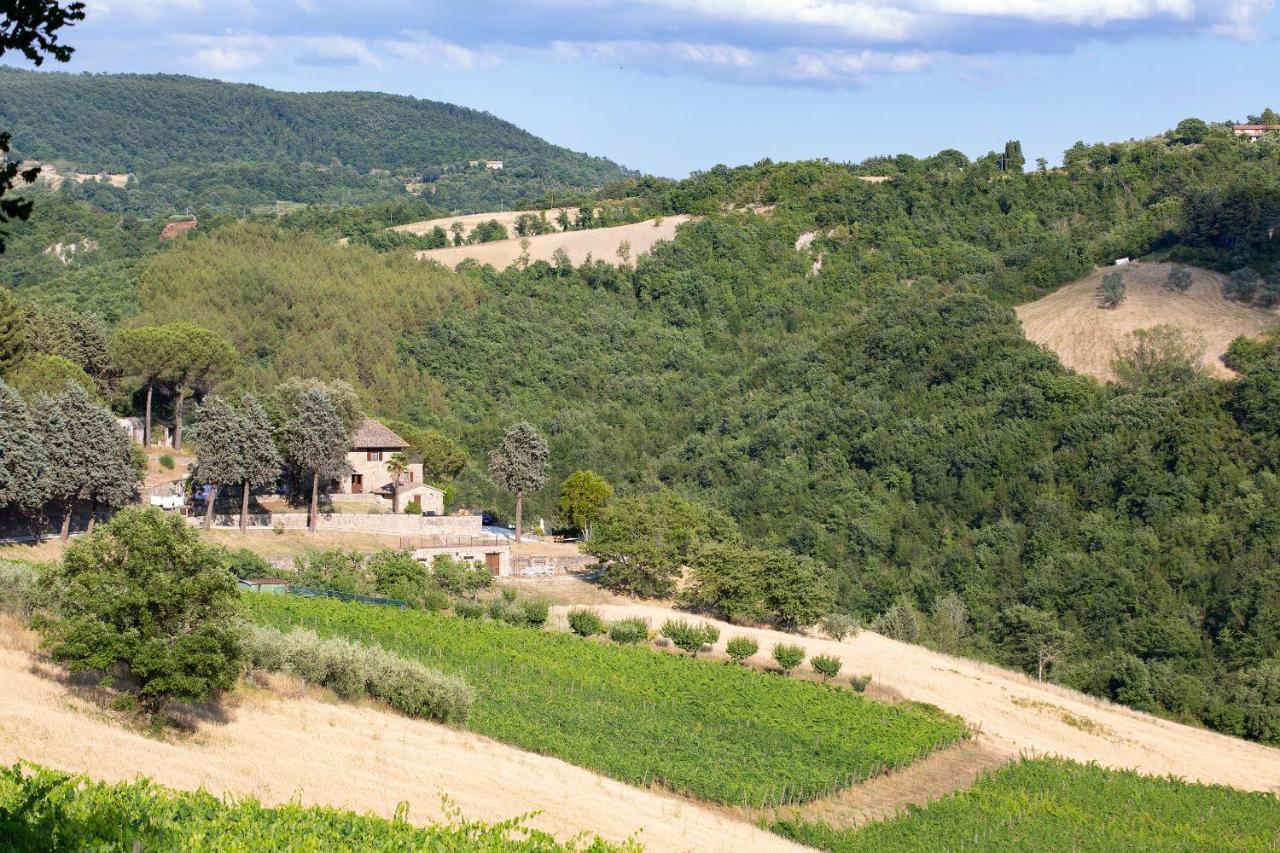 Agriturismo Colle Pu Pieve San Nicolo Ngoại thất bức ảnh