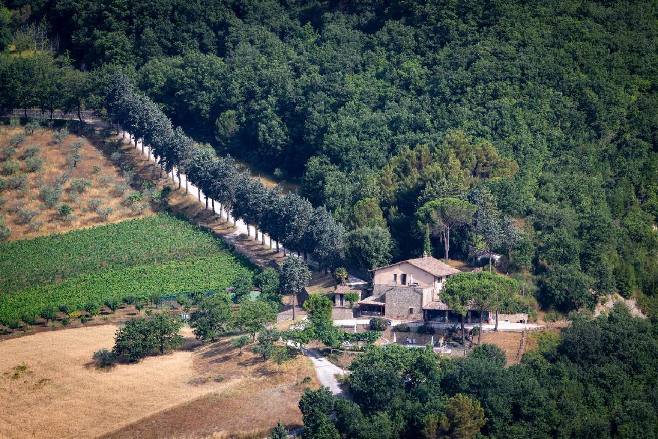Agriturismo Colle Pu Pieve San Nicolo Ngoại thất bức ảnh