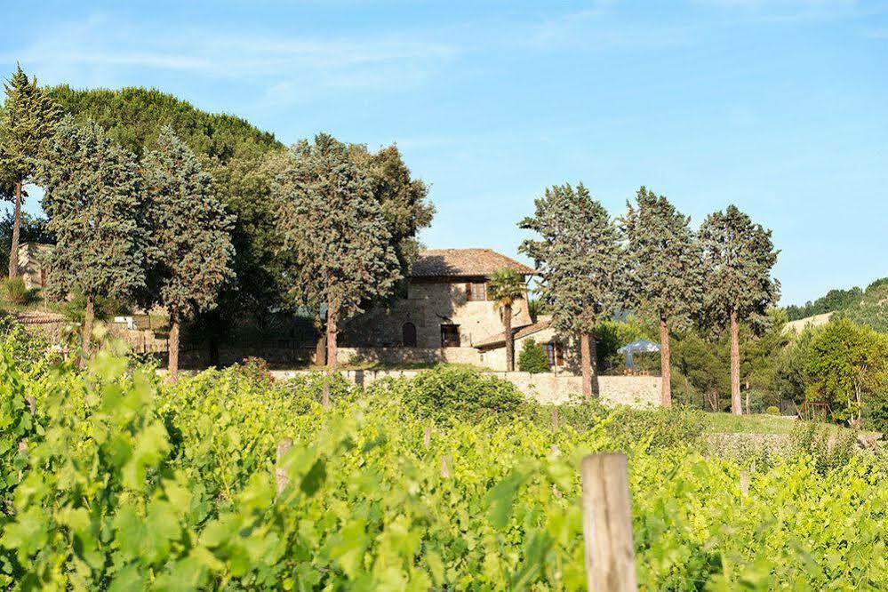 Agriturismo Colle Pu Pieve San Nicolo Ngoại thất bức ảnh
