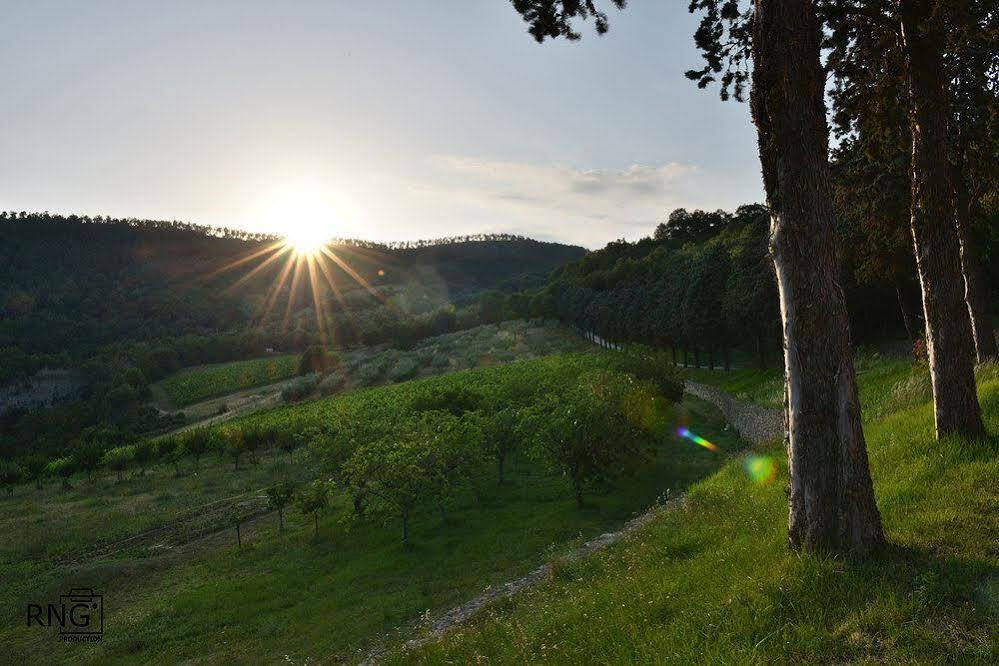 Agriturismo Colle Pu Pieve San Nicolo Ngoại thất bức ảnh