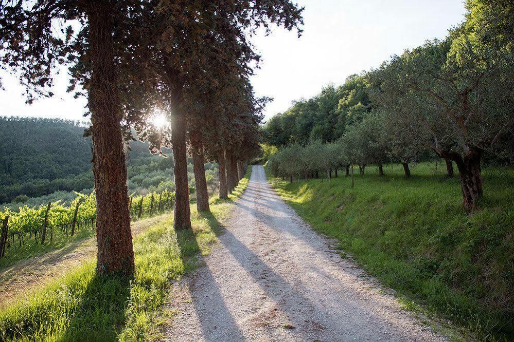 Agriturismo Colle Pu Pieve San Nicolo Ngoại thất bức ảnh